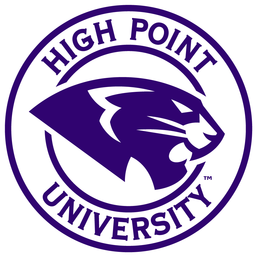 High Point Panthers 2017-Pres Secondary Logo DIY iron on transfer (heat transfer)